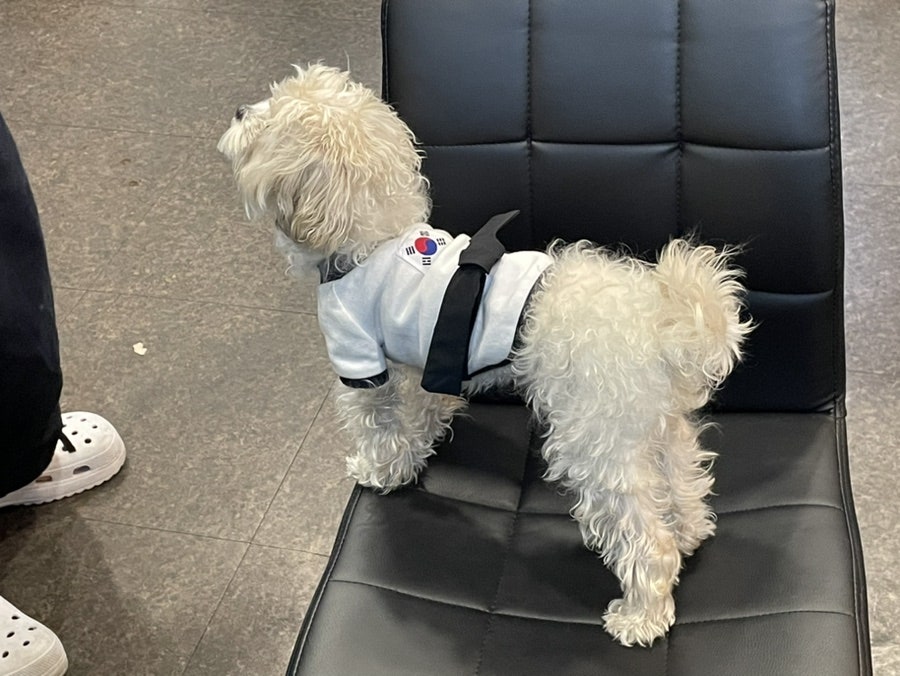 포카드홀덤펌 이미지