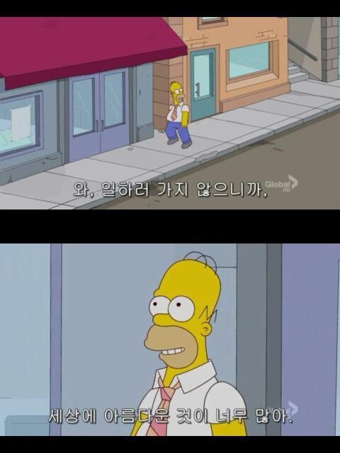스시진솔 이미지