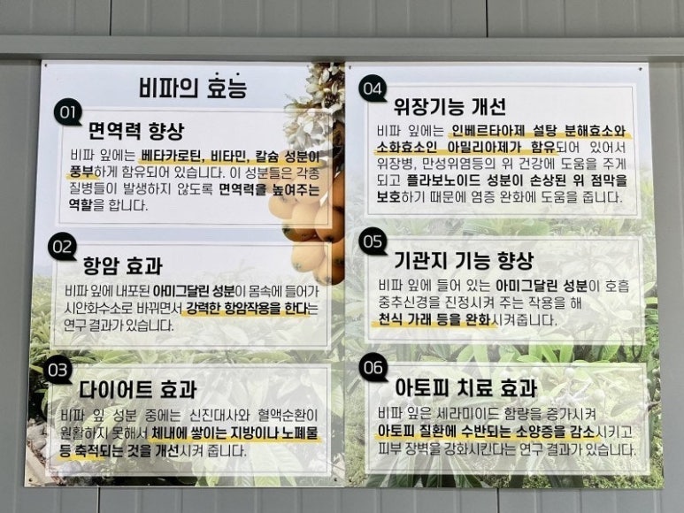 비파해물칼국수 이미지