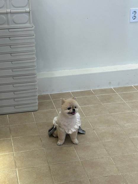 소학식당 이미지