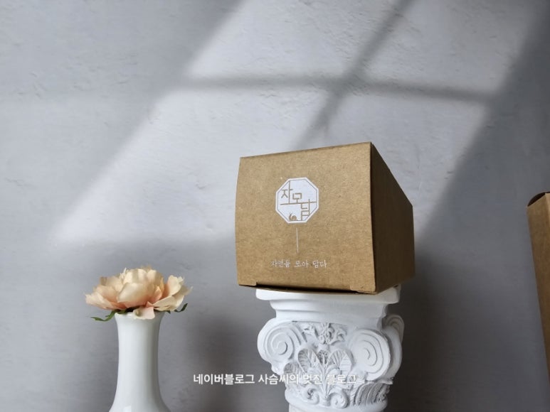 코코자모 이미지