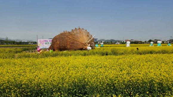 얼큰이손칼국수 이미지