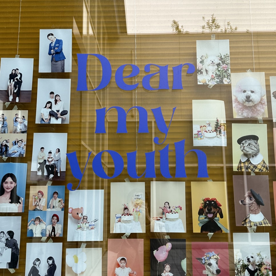 디어유스(Dear Youth) 이미지