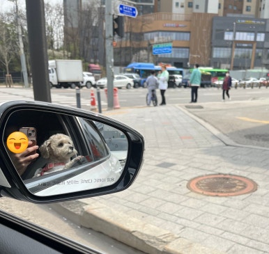 멜로우247 이미지