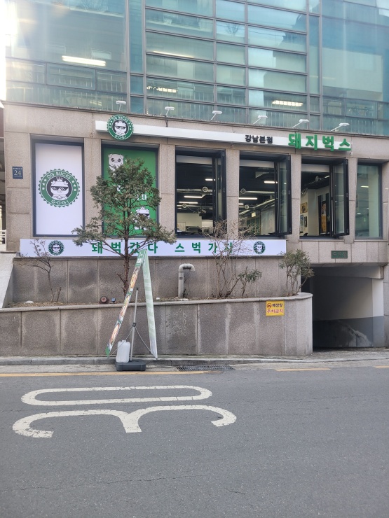 돼지벅스 이미지