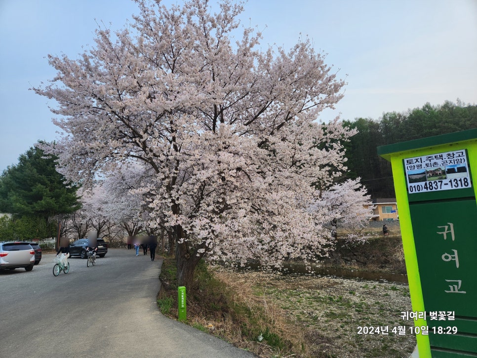 귀여리물안개공원자전거대여소 이미지