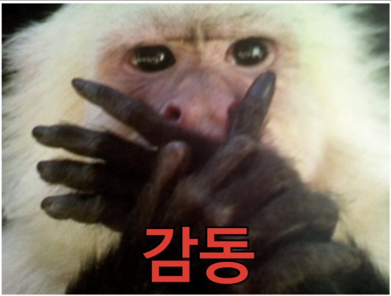 일베키오 이미지