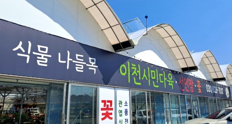 이천시민다육 이미지