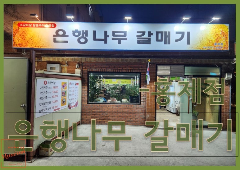은행나무갈매기 이미지