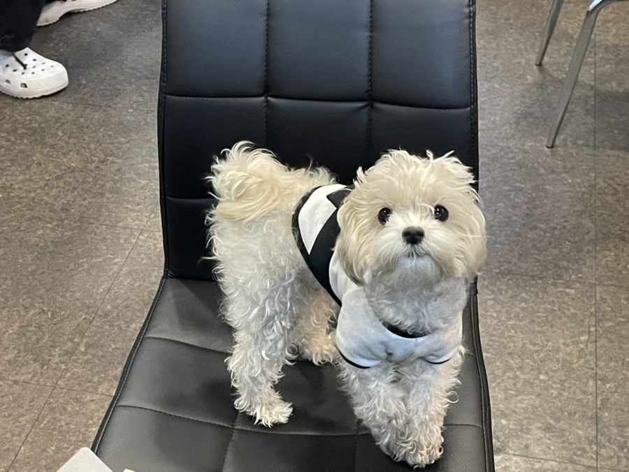 포카드홀덤펌 이미지