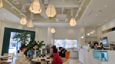 루티드(Rooted) 이미지