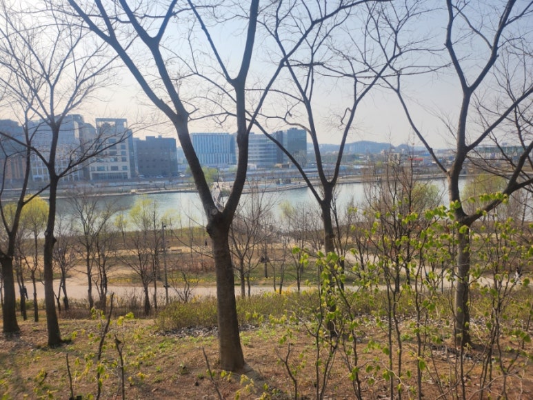 이끌네일 이미지