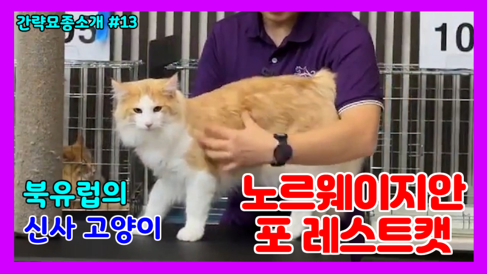 지안포레스트 이미지