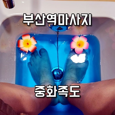 중화족도 이미지