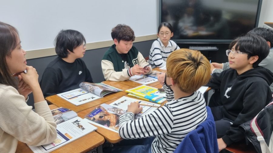 하이존 이미지