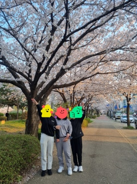 이안언어심리발달센터 이미지