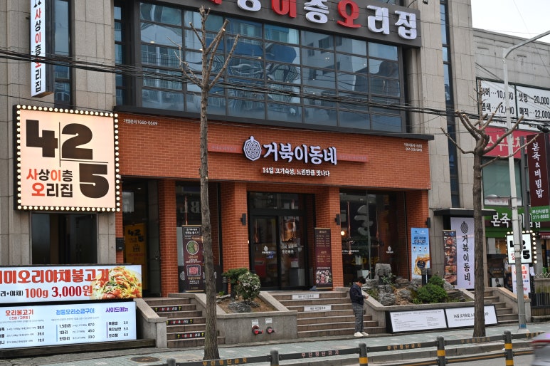 거북이동네사상점 이미지