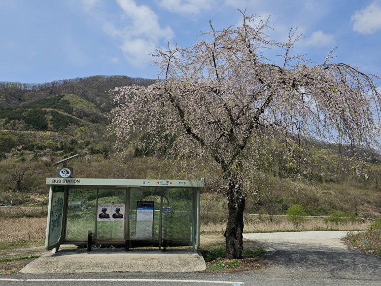 동상면 소재지 이미지