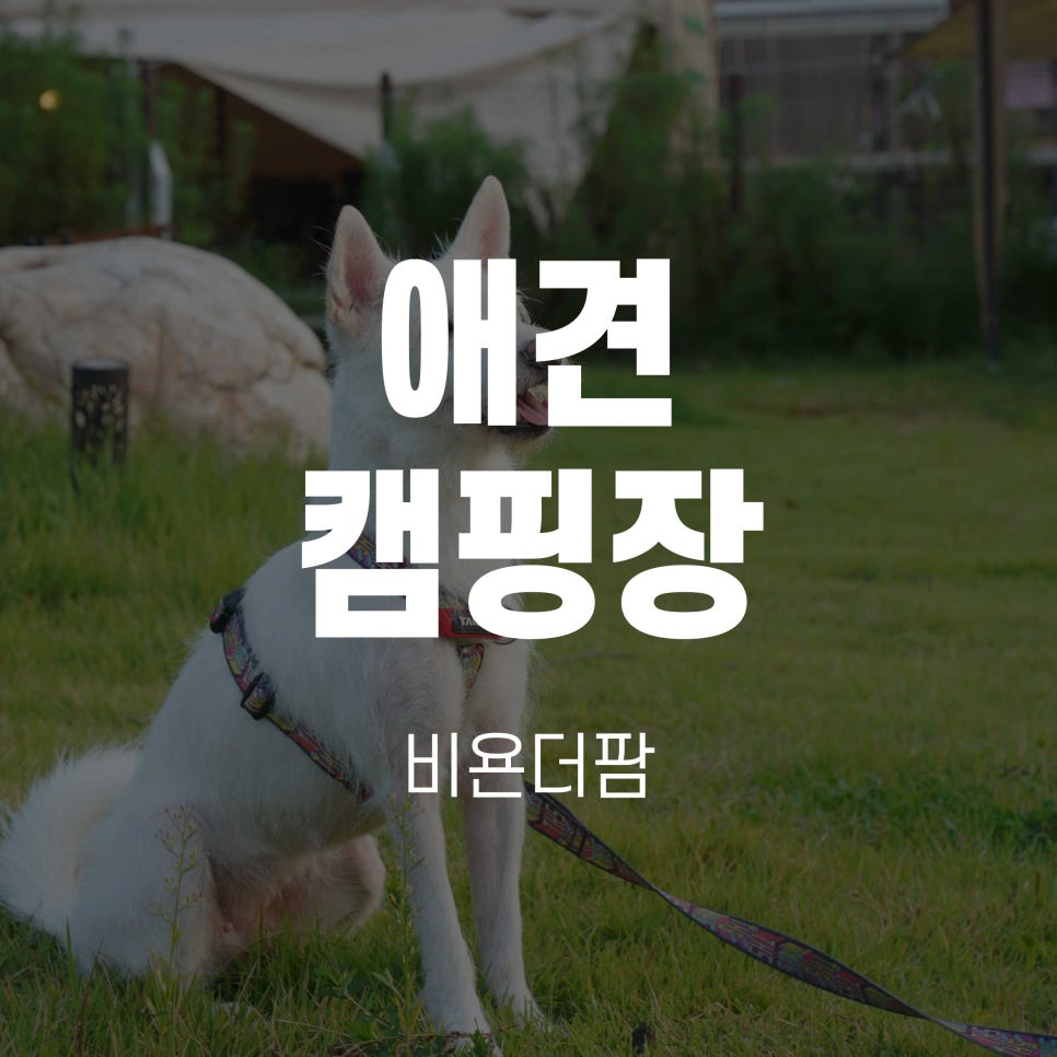 농업회사법인더함께주식회사 이미지