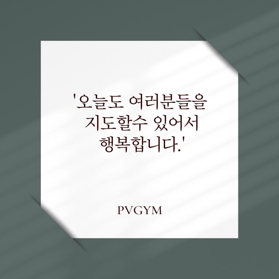 피브이짐 이미지
