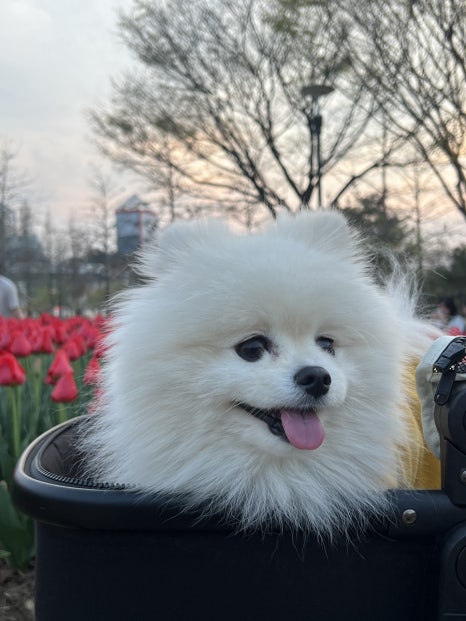 바쿠미 이미지