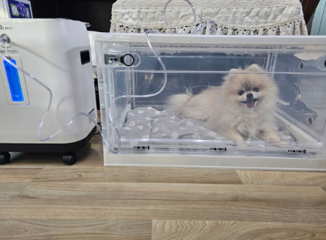 오투산소방 이미지