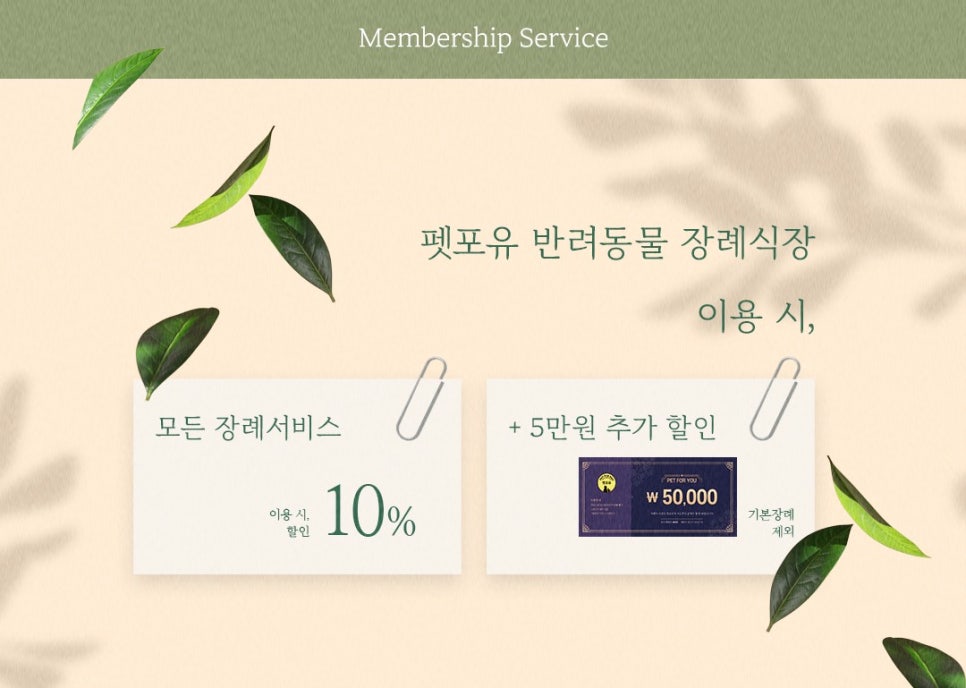 피플포유 이미지