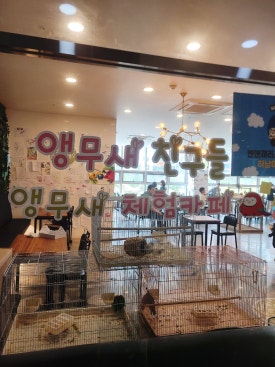 피자스쿨미사 이미지