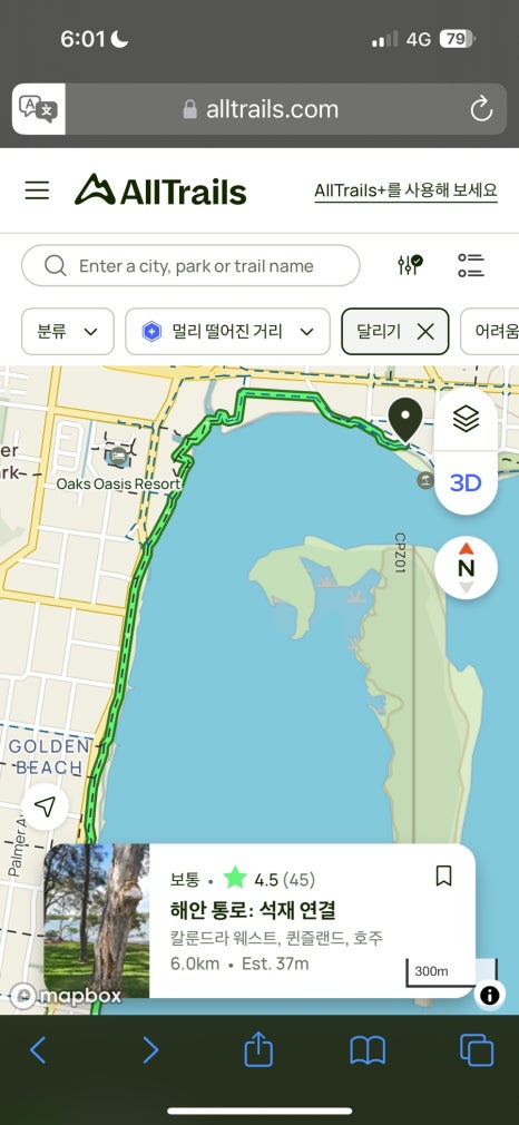 핫초코김밥 이미지
