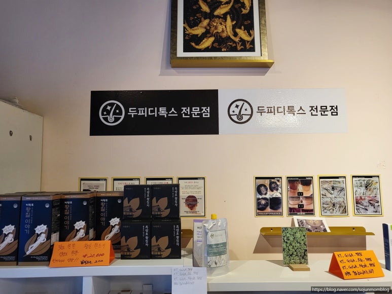 디톡스미미용실 이미지