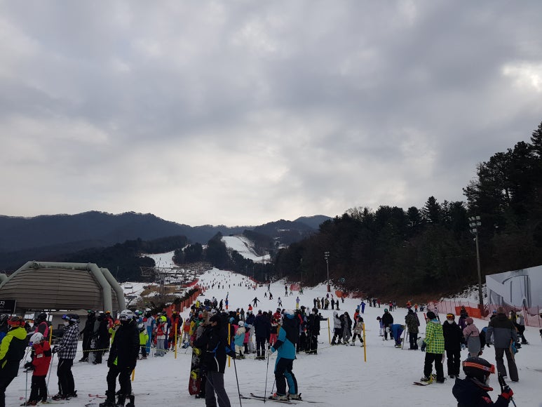 베이스 타운 스키장전경 이미지