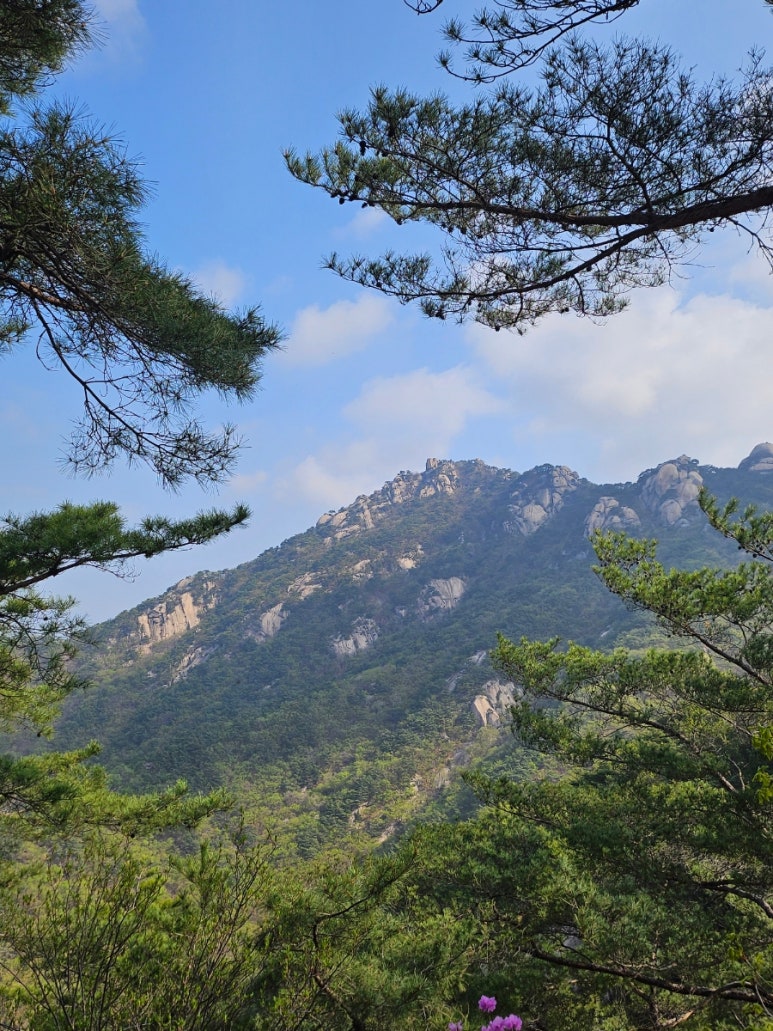 경관조망점 이미지