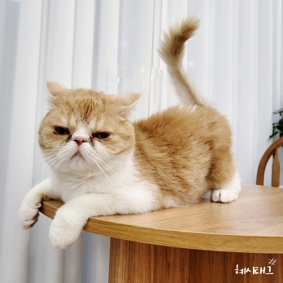 네일;너와함께 이미지