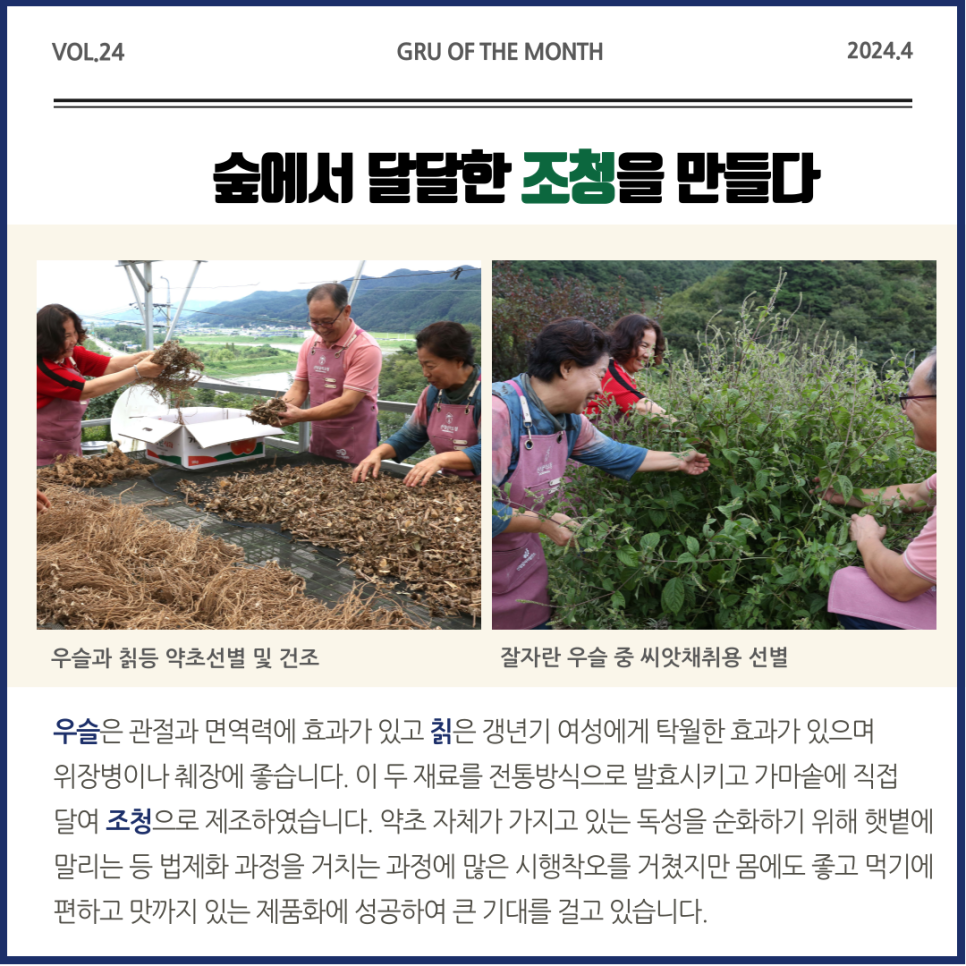 산청골약조청 이미지