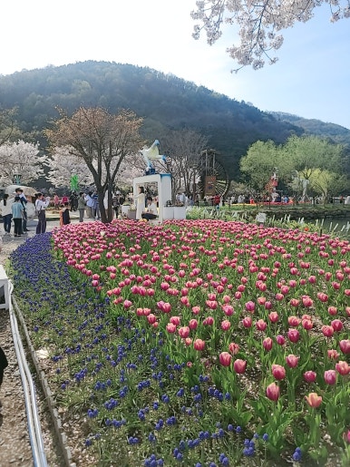세교화원 이미지