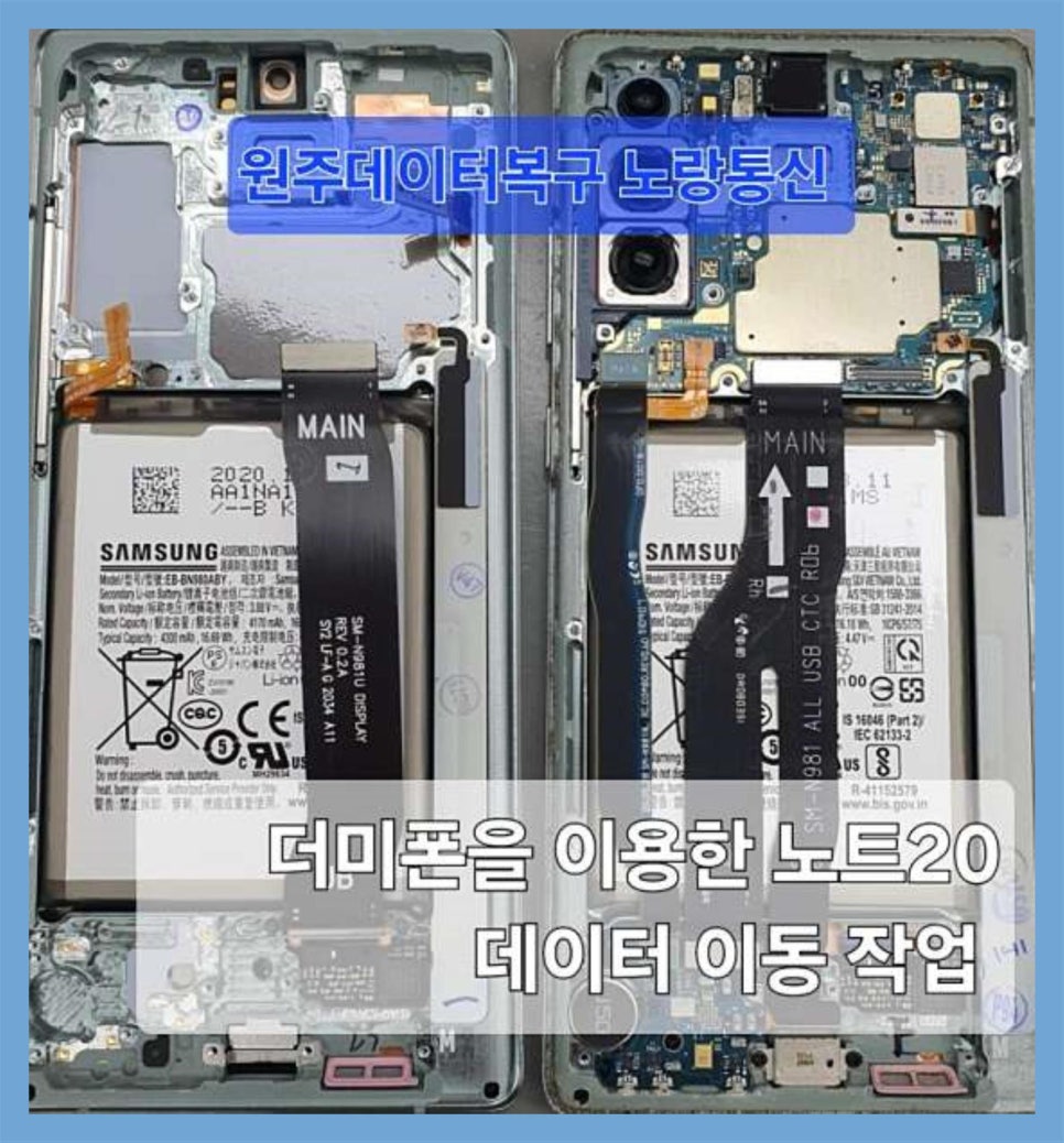 노랑통신 이미지
