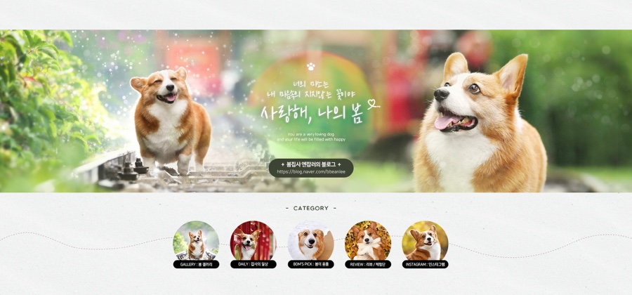 푸른디자인 이미지