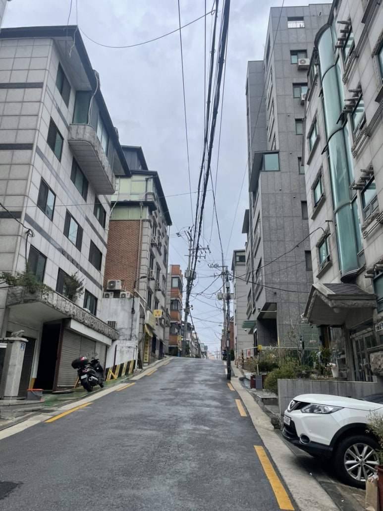 부케바이242 이미지