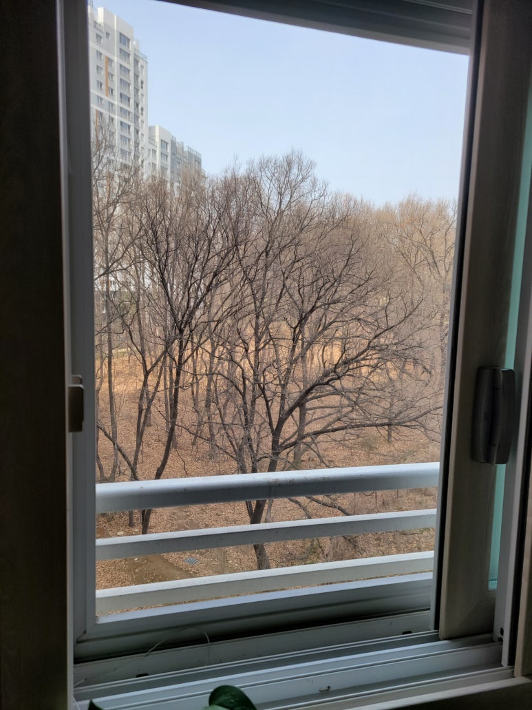 안심에스엘 이미지