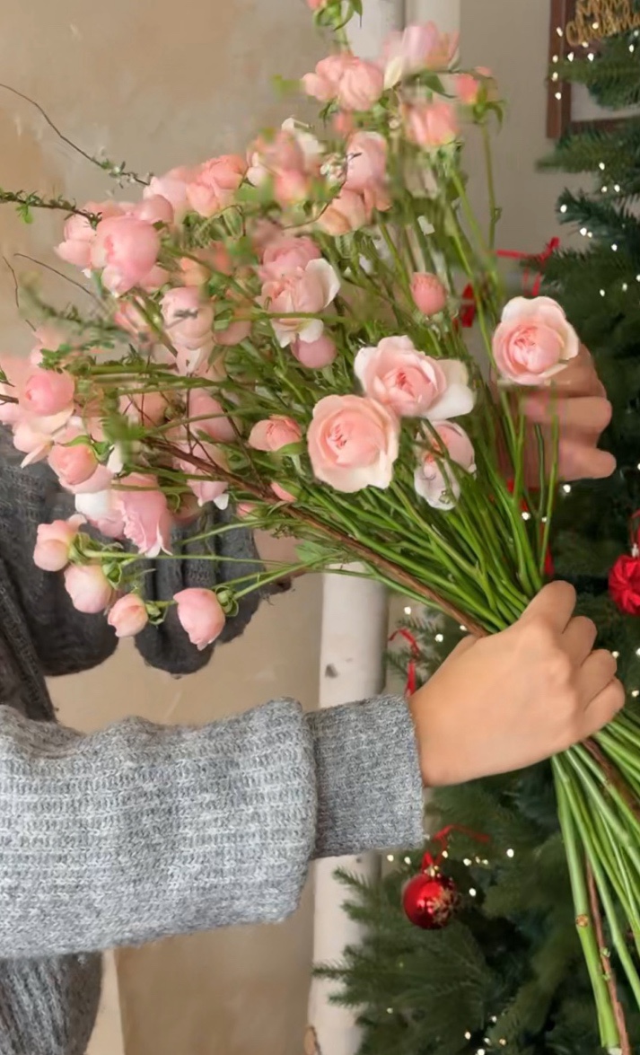 헤쎄드플라라 이미지