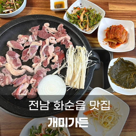 개미가든 이미지