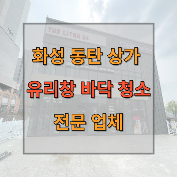 투명한청년들 이미지
