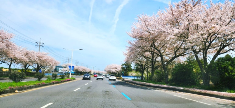 이노우에스시 이미지