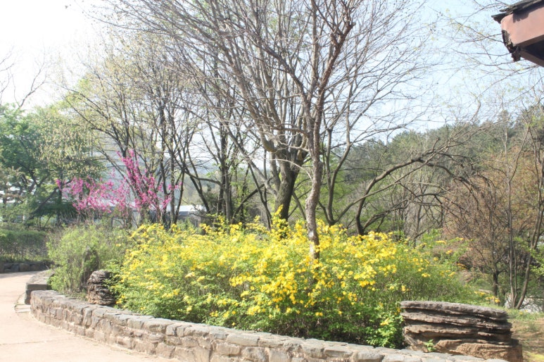 금강수목원 이미지
