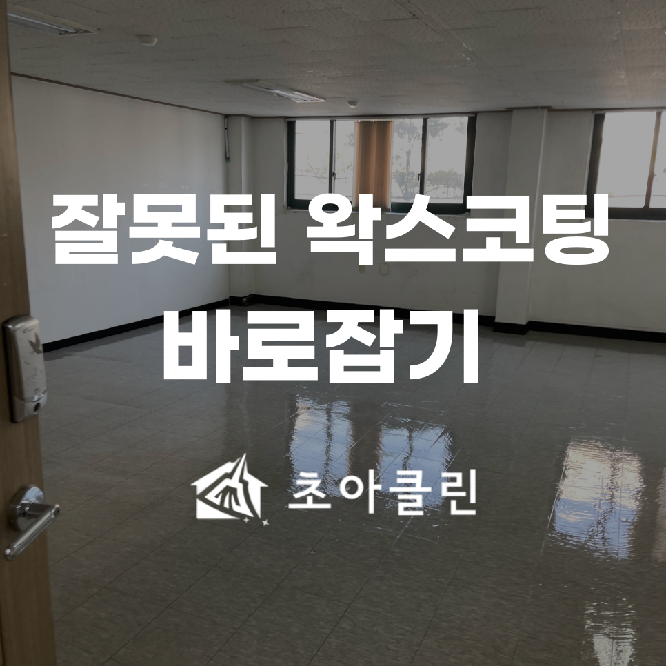 초아클린 이미지