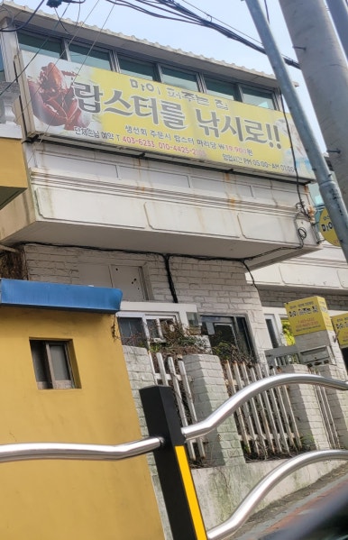 마이퍼주는집 이미지