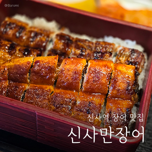세미장어 이미지