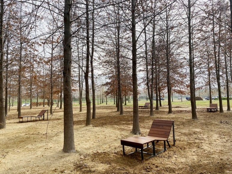 황산주 이미지
