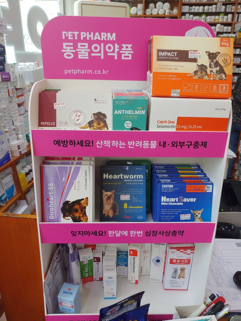 김영내과의원 이미지