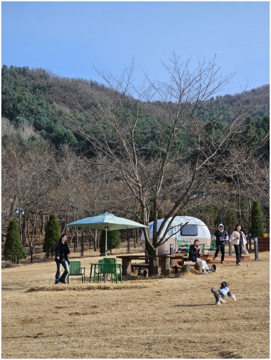 곤트란쉐리에 이미지